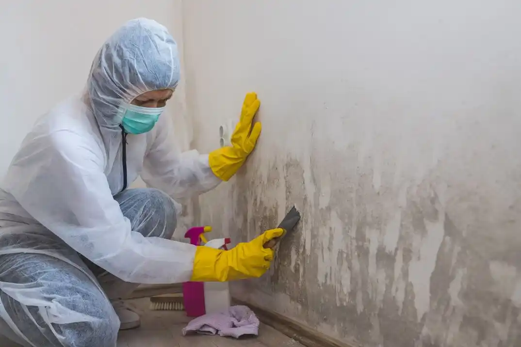 water damage restoration service Burleigh